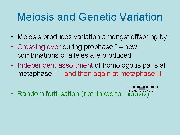 Meiosis and Genetic Variation • Meiosis produces variation amongst offspring by: • Crossing over