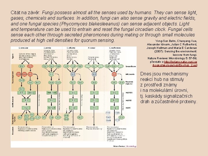 Citát na závěr: Fungi possess almost all the senses used by humans. They can
