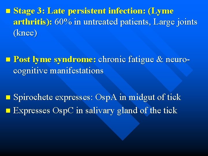n Stage 3: Late persistent infection: (Lyme arthritis): 60% in untreated patients, Large joints