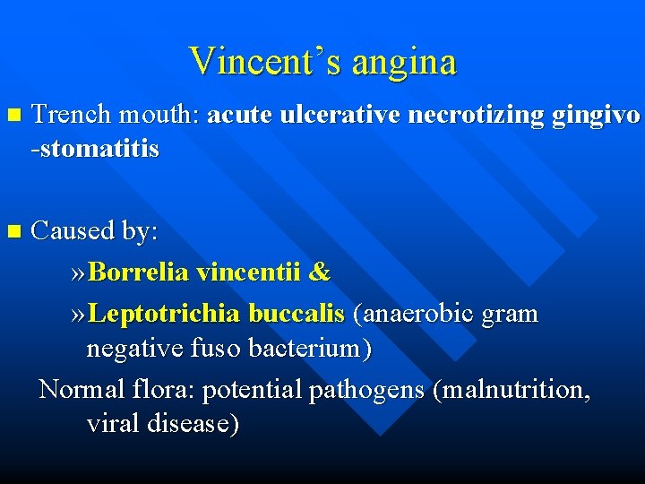 Vincent’s angina n Trench mouth: acute ulcerative necrotizing gingivo -stomatitis n Caused by: »