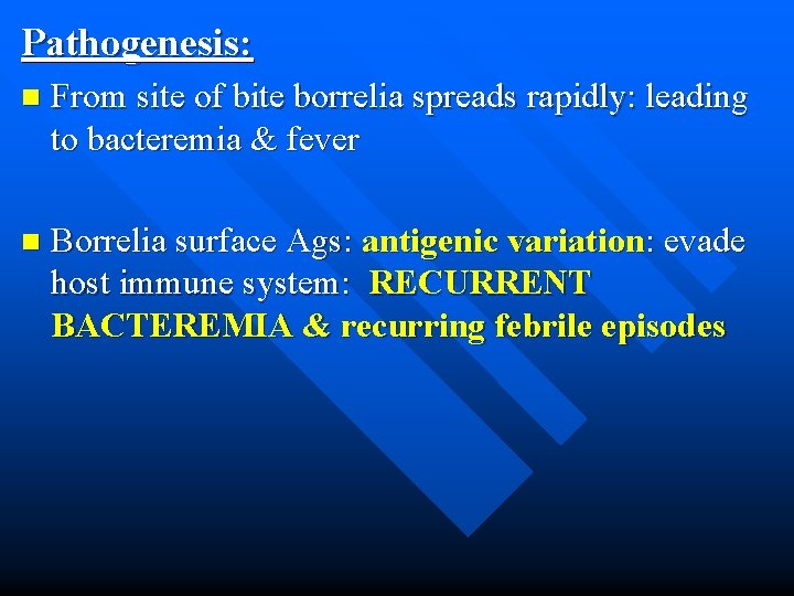 Pathogenesis: n From site of bite borrelia spreads rapidly: leading to bacteremia & fever