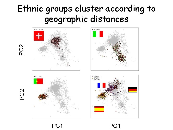 PC 2 Ethnic groups cluster according to geographic distances PC 1 