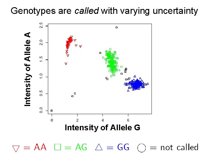 Intensity of Allele A Genotypes are called with varying uncertainty Intensity of Allele G