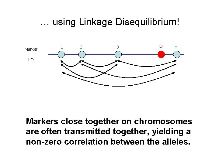 … using Linkage Disequilibrium! Marker 1 2 3 D n LD Markers close together