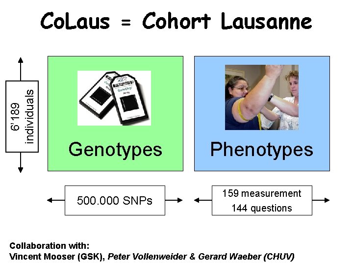 6’ 189 individuals Co. Laus = Cohort Lausanne Genotypes 500. 000 SNPs Phenotypes 159