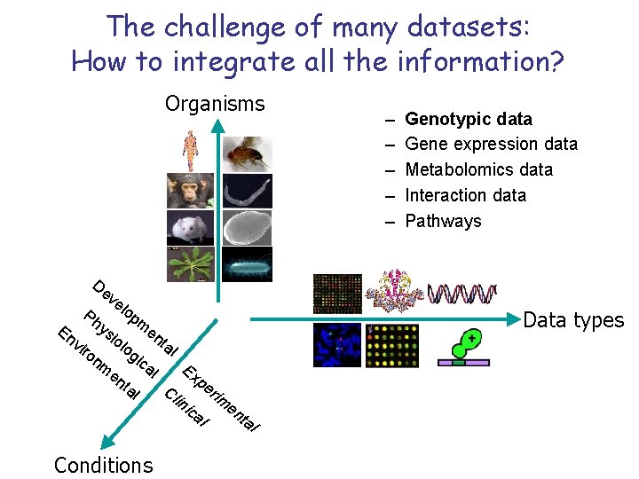 The challenge of many datasets: How to integrate all the information? Organisms – –