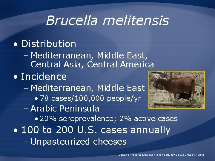 Brucella melitensis • Distribution – Mediterranean, Middle East, Central Asia, Central America • Incidence