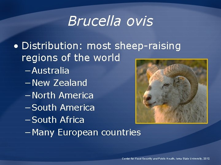 Brucella ovis • Distribution: most sheep-raising regions of the world −Australia −New Zealand −North