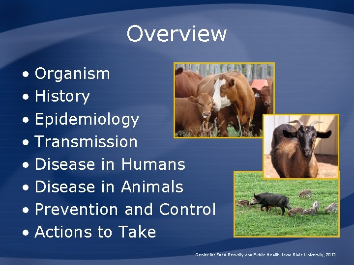 Overview • Organism • History • Epidemiology • Transmission • Disease in Humans •