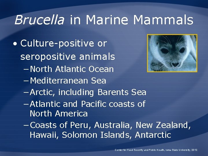 Brucella in Marine Mammals • Culture-positive or seropositive animals −North Atlantic Ocean −Mediterranean Sea