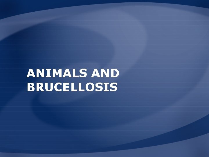 ANIMALS AND BRUCELLOSIS ANIMALS AND BRUCELLOSIS