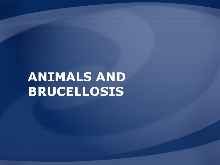 ANIMALS AND BRUCELLOSIS 