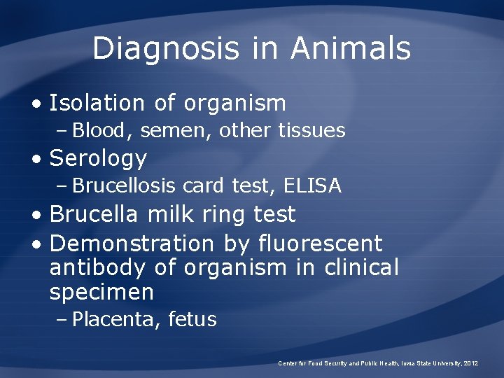 Diagnosis in Animals • Isolation of organism – Blood, semen, other tissues • Serology