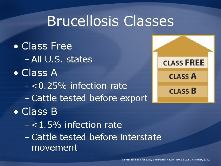 Brucellosis Classes • Class Free – All U. S. states • Class A –