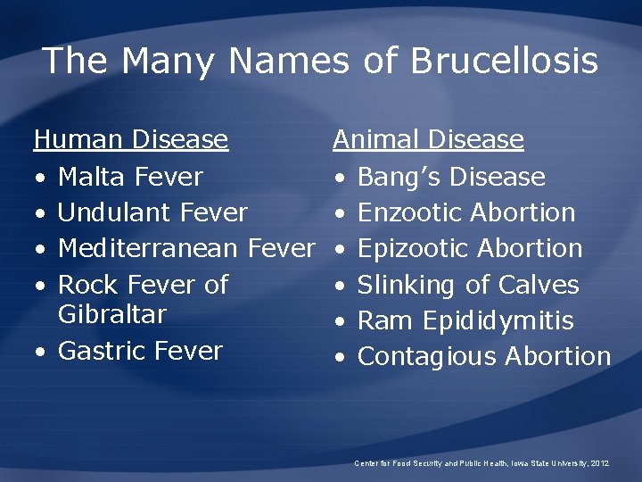 The Many Names of Brucellosis Human Disease Animal Disease • • • Malta Fever