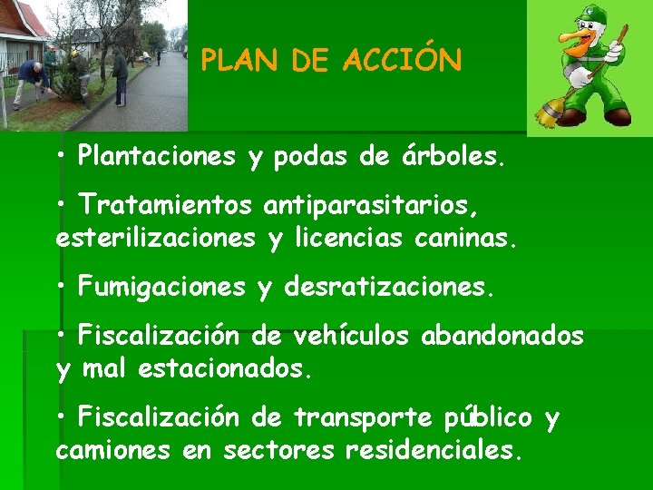 PLAN DE ACCIÓN • Plantaciones y podas de árboles. • Tratamientos antiparasitarios, esterilizaciones y