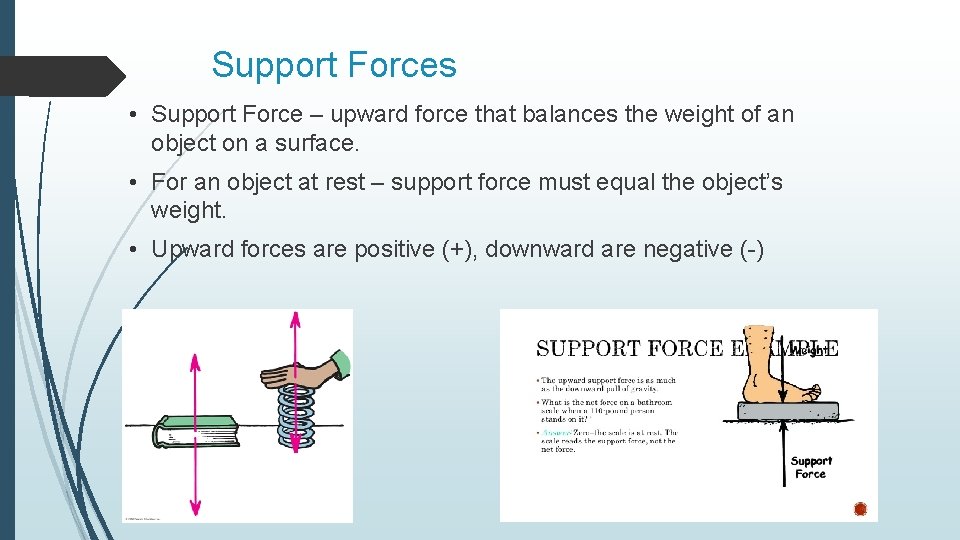 Support Forces • Support Force – upward force that balances the weight of an