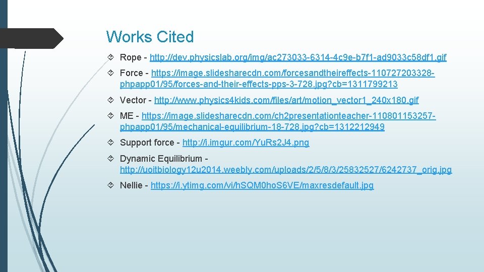 Works Cited Rope - http: //dev. physicslab. org/img/ac 273033 -6314 -4 c 9 e-b