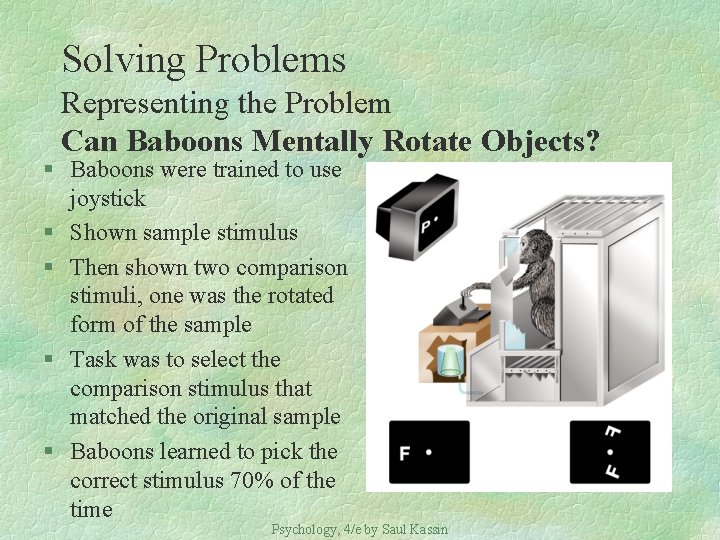 Solving Problems Representing the Problem Can Baboons Mentally Rotate Objects? § Baboons were trained