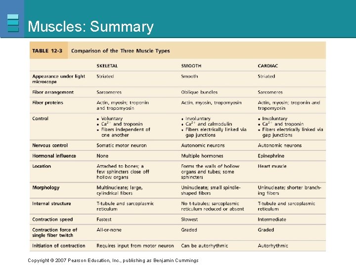 Muscles: Summary Copyright © 2007 Pearson Education, Inc. , publishing as Benjamin Cummings 