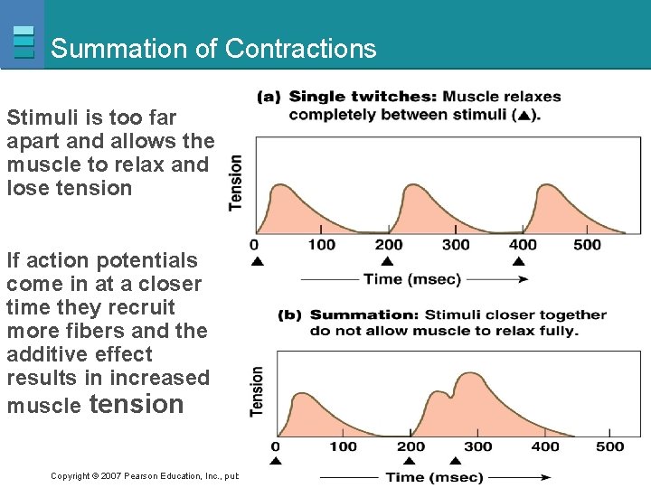 Summation of Contractions Stimuli is too far apart and allows the muscle to relax