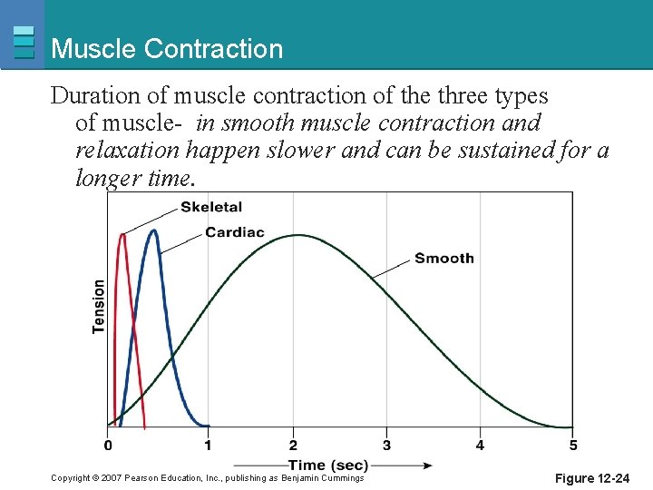 Muscle Contraction Duration of muscle contraction of the three types of muscle- in smooth