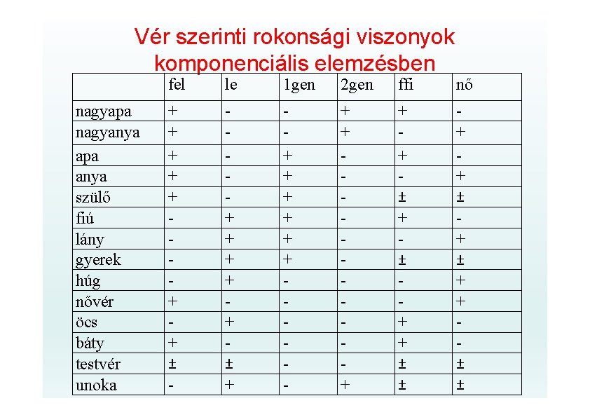 Vér szerinti rokonsági viszonyok komponenciális elemzésben nagyapa nagyanya apa anya szülő fiú lány gyerek