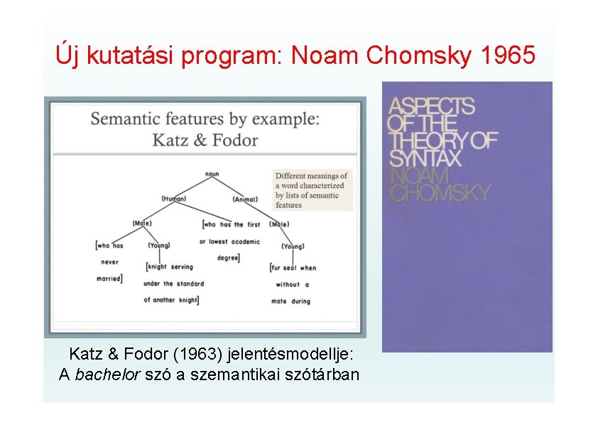 Új kutatási program: Noam Chomsky 1965 Katz & Fodor (1963) jelentésmodellje: A bachelor szó