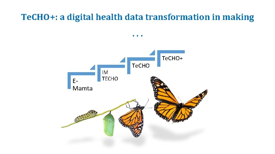 Te. CHO+: a digital health data transformation in making. . . EMamta IM TECHO