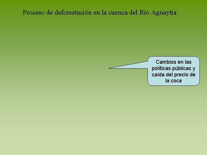 Proceso de deforestación en la cuenca del Río Aguaytía Cambios en las políticas públicas