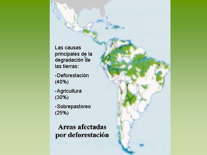 Las causas principales de la degradación de las tierras: -Deforestación (40%) -Agricultura (30%) -Sobrepastoreo