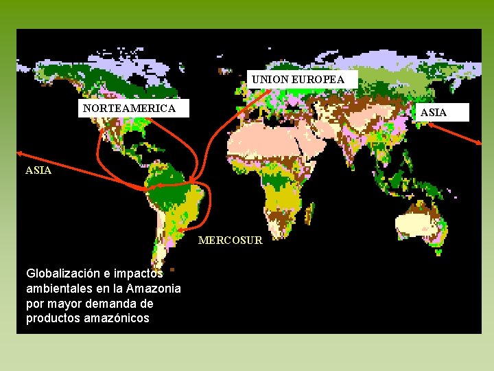 UNION EUROPEA NORTEAMERICA ASIA MERCOSUR Globalización e impactos ambientales en la Amazonia por mayor