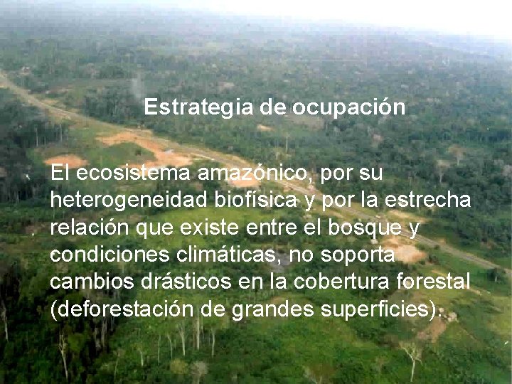 Estrategia de ocupación El ecosistema amazónico, por su heterogeneidad biofísica y por la estrecha