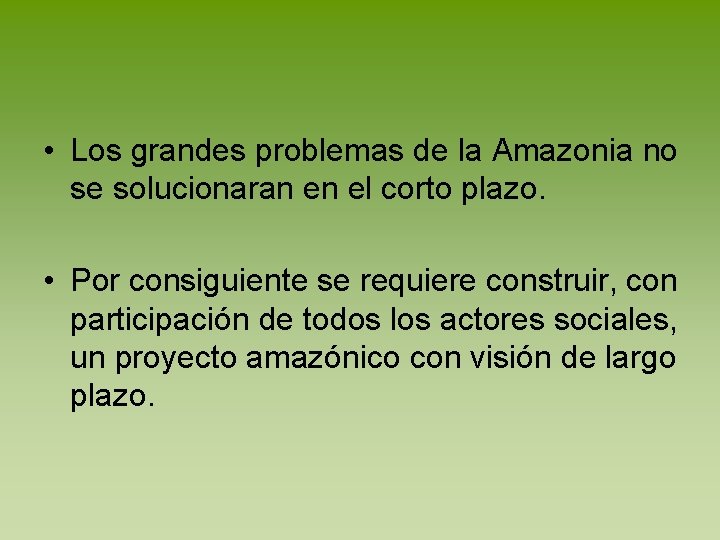  • Los grandes problemas de la Amazonia no se solucionaran en el corto