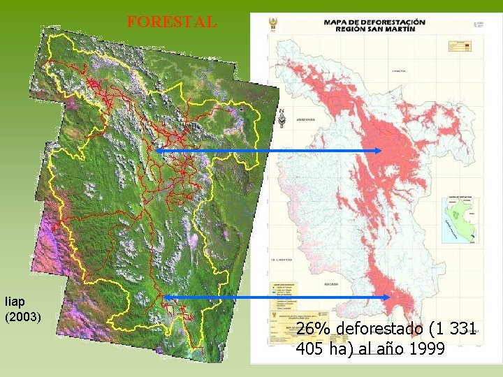 FORESTAL Iiap (2003) 26% deforestado (1 331 405 ha) al año 1999 