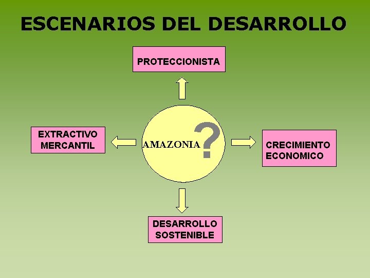 ESCENARIOS DEL DESARROLLO PROTECCIONISTA EXTRACTIVO MERCANTIL ? AMAZONIA DESARROLLO SOSTENIBLE CRECIMIENTO ECONOMICO 