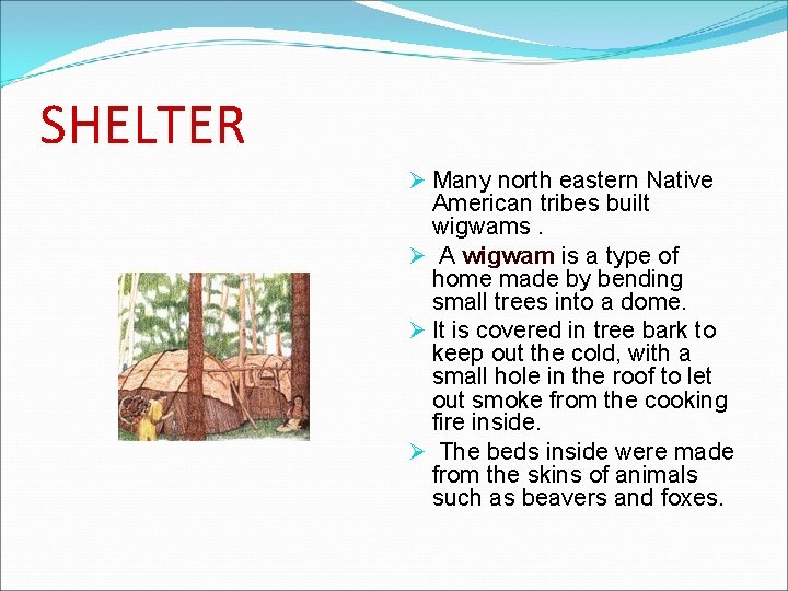 SHELTER Ø Many north eastern Native American tribes built wigwams. Ø A wigwam is