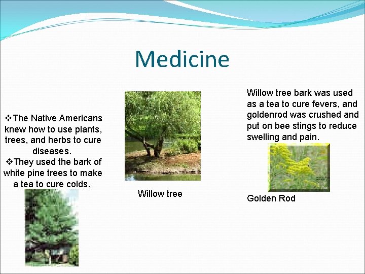 Medicine v. The Native Americans knew how to use plants, trees, and herbs to