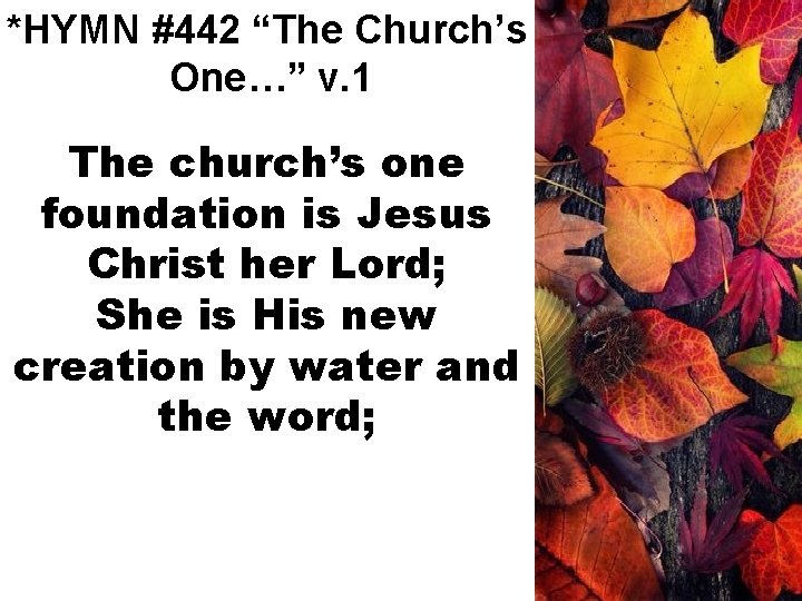 *HYMN #442 “The Church’s One…” v. 1 The church’s one foundation is Jesus Christ