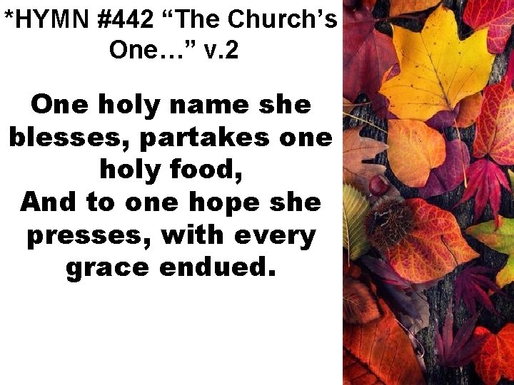 *HYMN #442 “The Church’s One…” v. 2 One holy name she blesses, partakes one