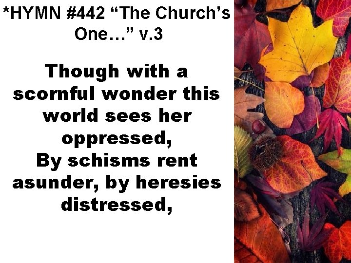 *HYMN #442 “The Church’s One…” v. 3 Though with a scornful wonder this world