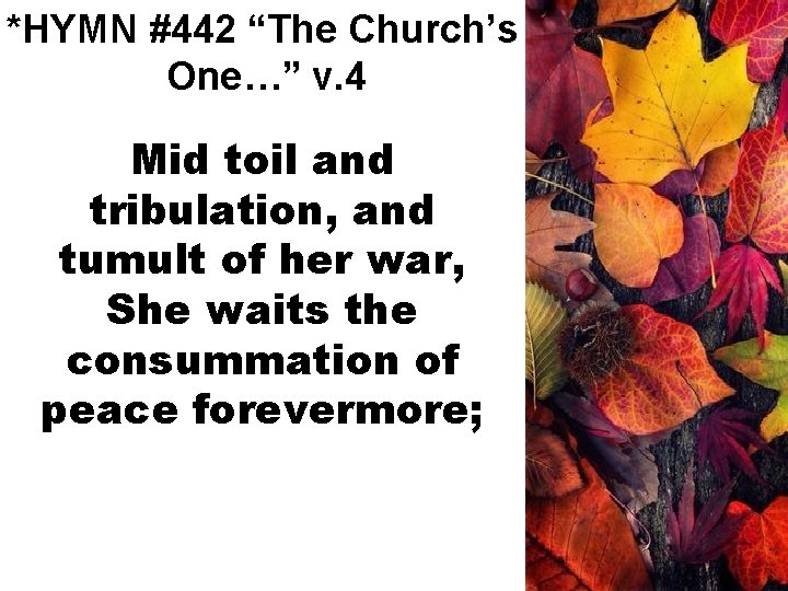 *HYMN #442 “The Church’s One…” v. 4 Mid toil and tribulation, and tumult of