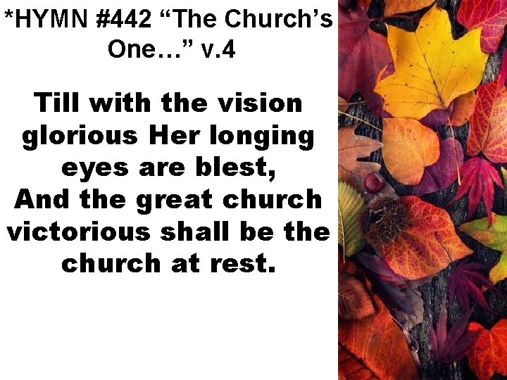 *HYMN #442 “The Church’s One…” v. 4 Till with the vision glorious Her longing