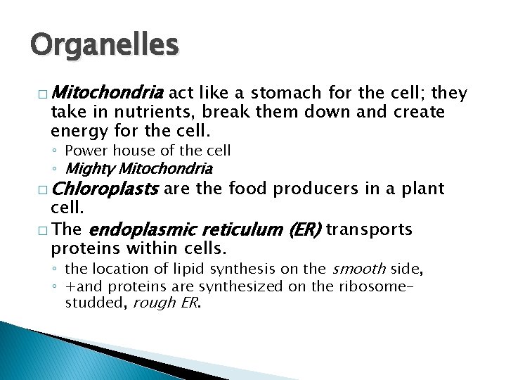 Organelles � Mitochondria act like a stomach for the cell; they take in nutrients,