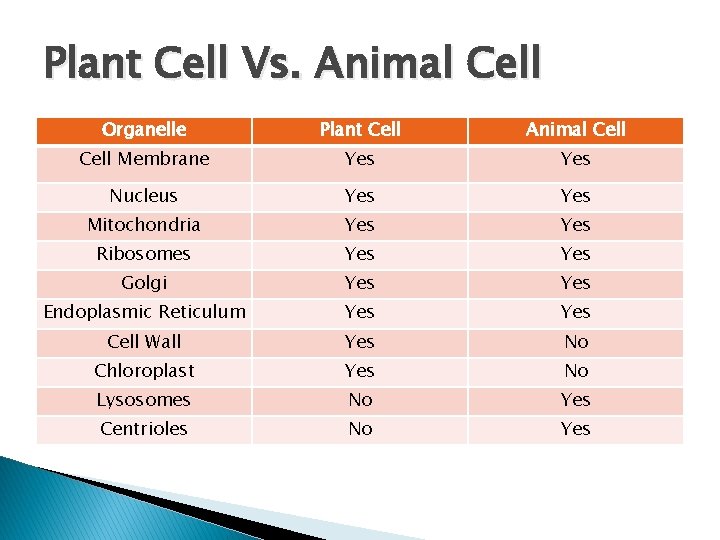 Plant Cell Vs. Animal Cell Organelle Plant Cell Animal Cell Membrane Yes Nucleus Yes