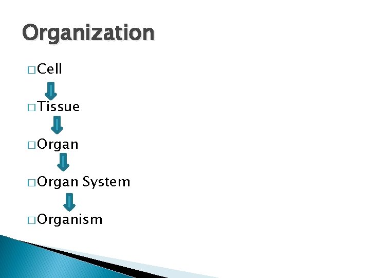 Organization � Cell � Tissue � Organ System � Organism 
