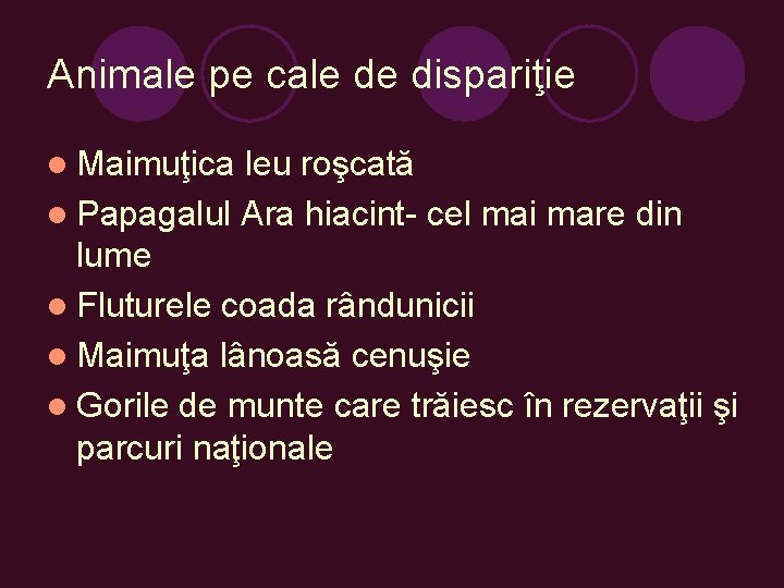 Animale pe cale de dispariţie l Maimuţica leu roşcată l Papagalul Ara hiacint- cel