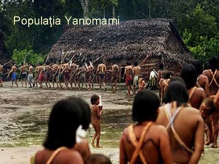 Populaţia Yanomami 