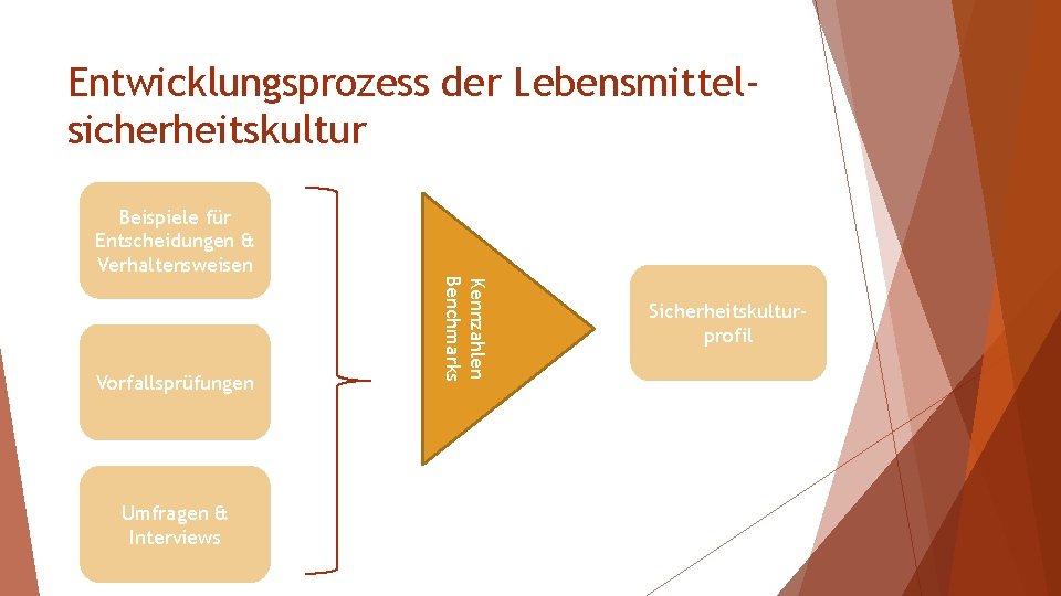 Entwicklungsprozess der Lebensmittelsicherheitskultur Vorfallsprüfungen Umfragen & Interviews Kennzahlen Benchmarks Beispiele für Entscheidungen & Verhaltensweisen