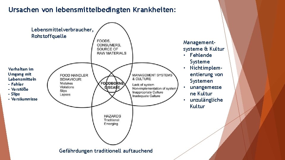 Ursachen von lebensmittelbedingten Krankheiten: Lebensmittelverbraucher, Rohstoffquelle Managementsysteme & Kultur • Fehlende Systeme • Nichtimplementierung